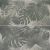 tfant2448ju_1t