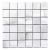tonix0202grmo_1