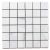 tonix0202pemo_1
