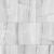 tonix1013gr_1t