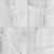 tonix1313gr_1t