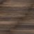 tsier0748wa_1t